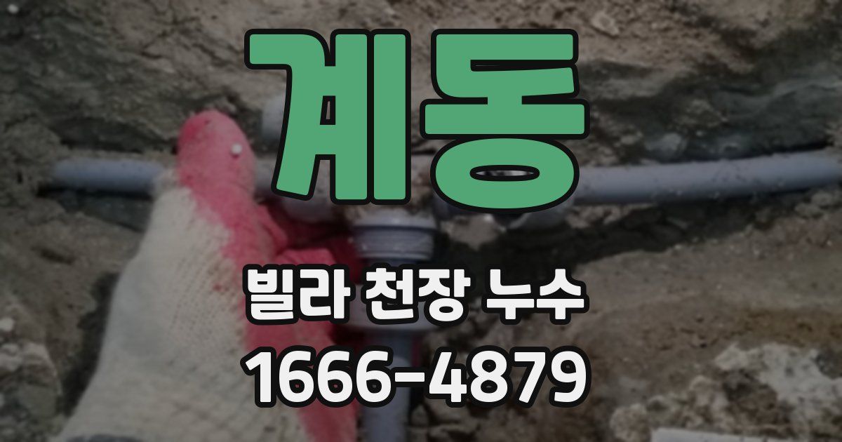 계동 빌라 천장 누수