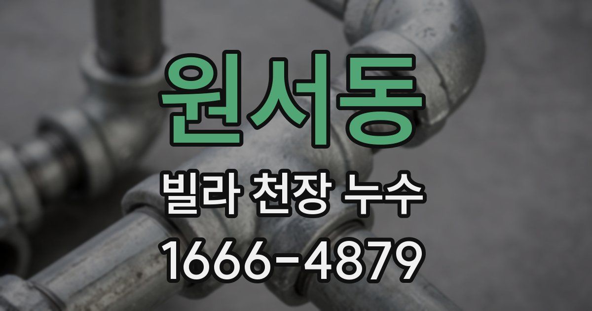 원서동 빌라 천장 누수