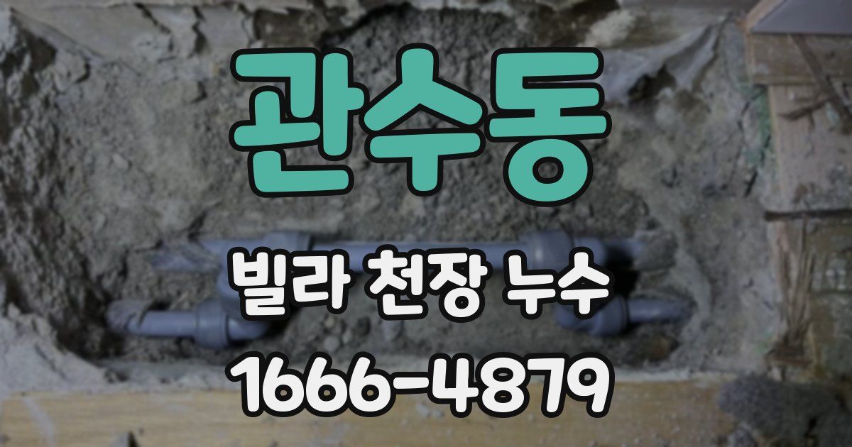 관수동 빌라 천장 누수