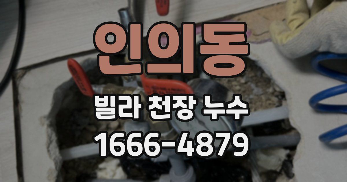 인의동 빌라 천장 누수