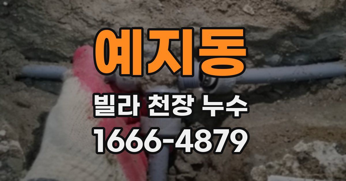 예지동 빌라 천장 누수