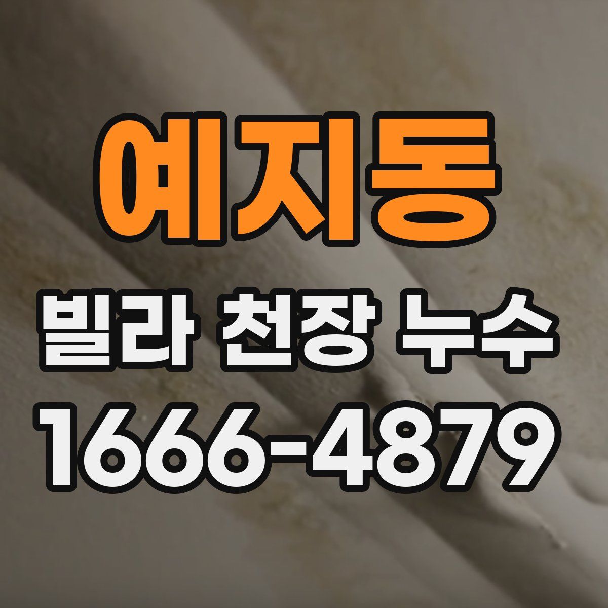 예지동 빌라 천장 누수
