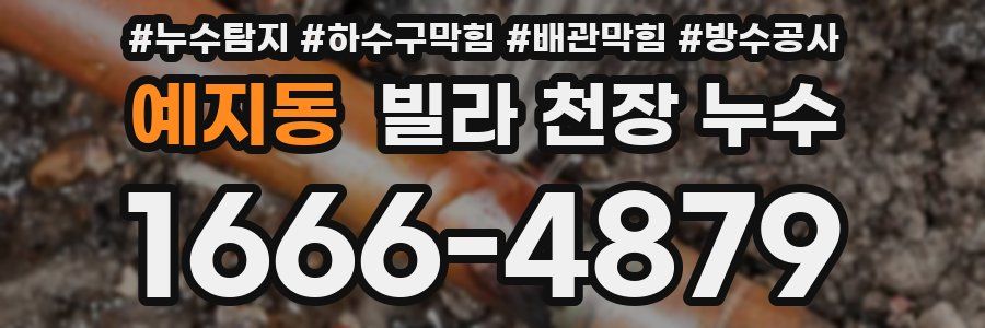 예지동 빌라 천장 누수