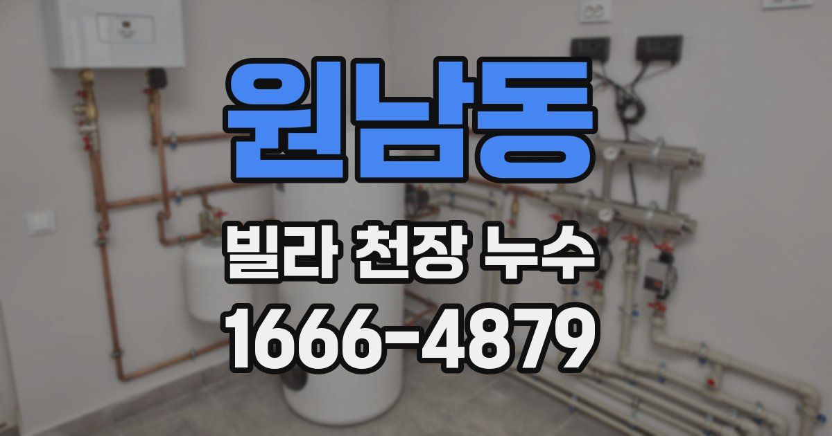 원남동 빌라 천장 누수
