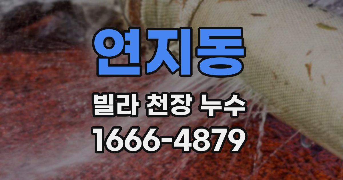 연지동 빌라 천장 누수