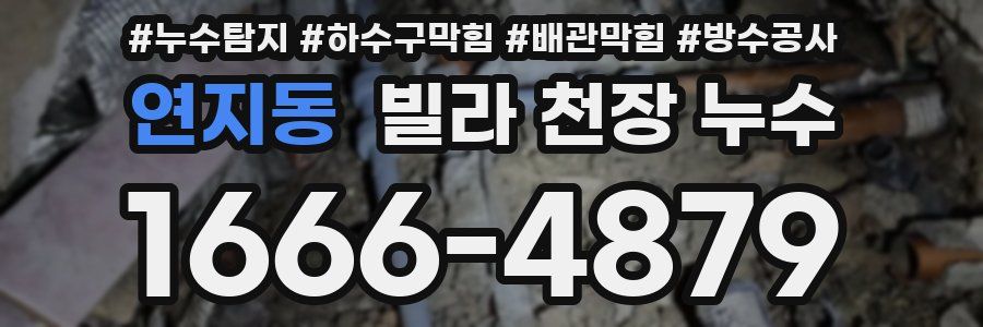 연지동 빌라 천장 누수
