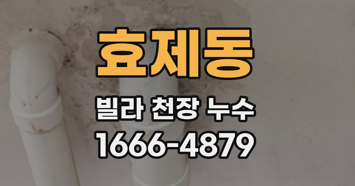 효제동 빌라 천장 누수