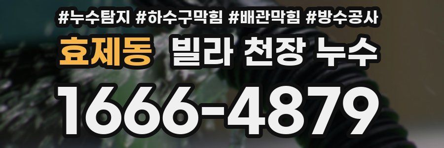 효제동 빌라 천장 누수