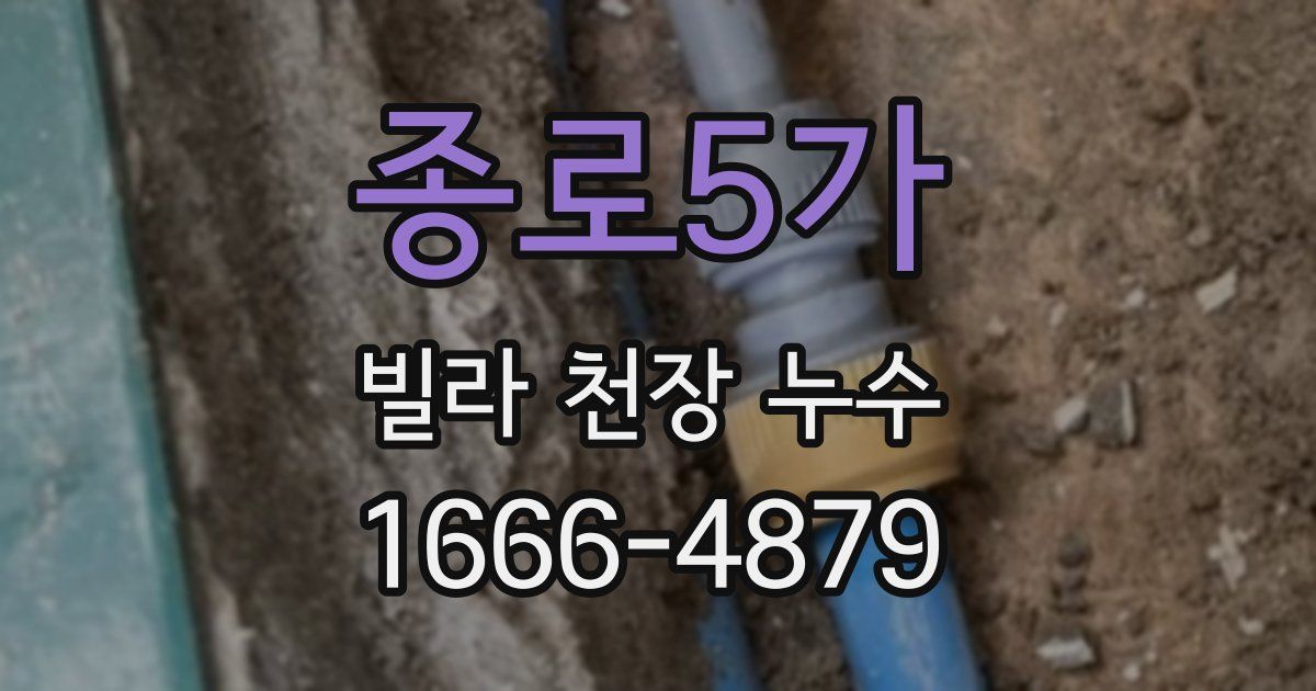 종로5가 빌라 천장 누수