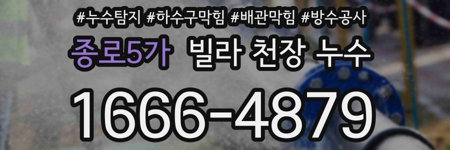 종로5가 빌라 천장 누수