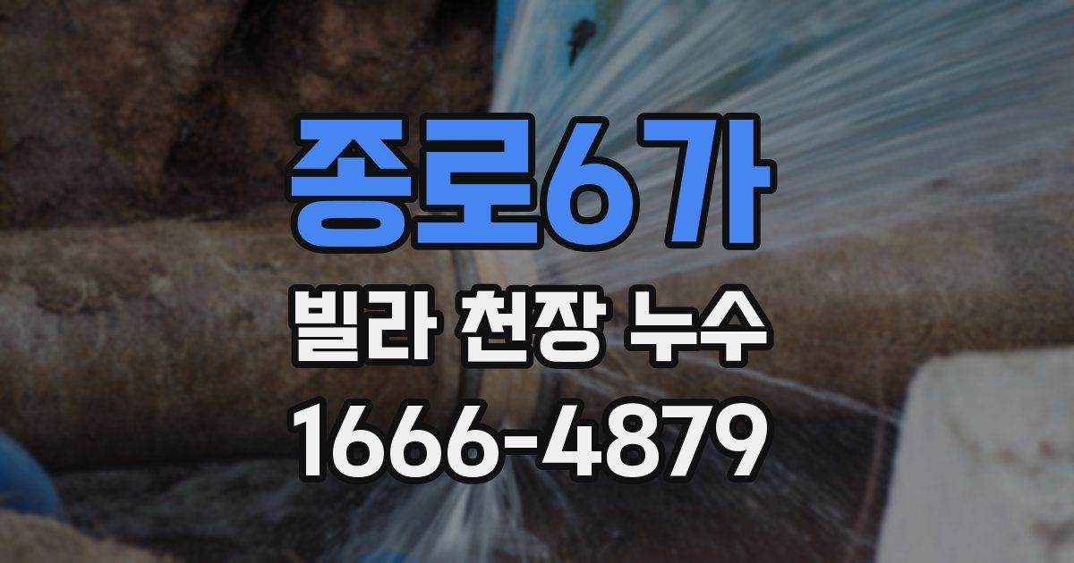 종로6가 빌라 천장 누수