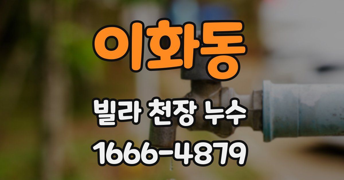 이화동 빌라 천장 누수