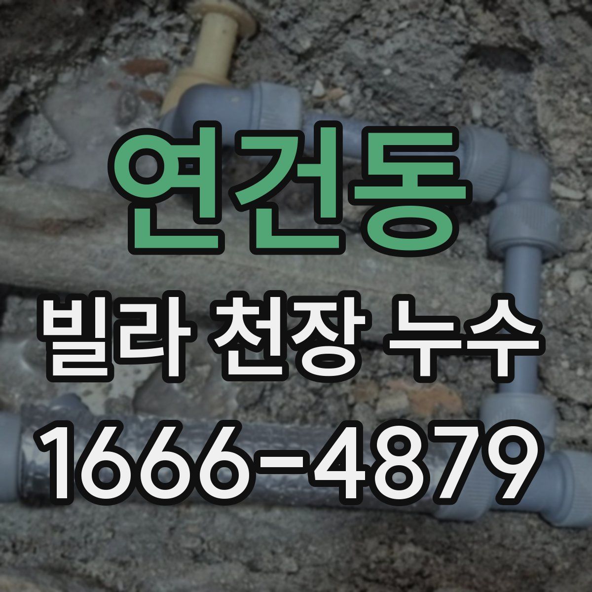연건동 빌라 천장 누수