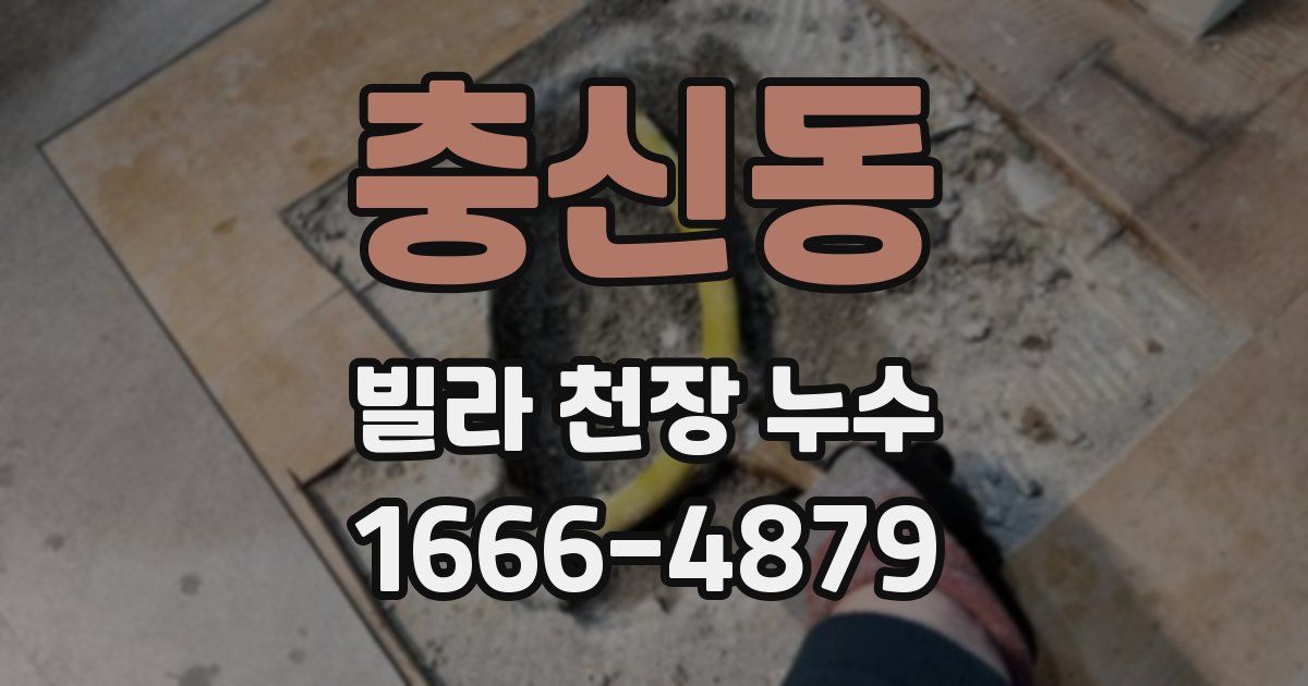 충신동 빌라 천장 누수