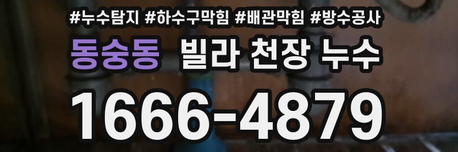 동숭동 빌라 천장 누수