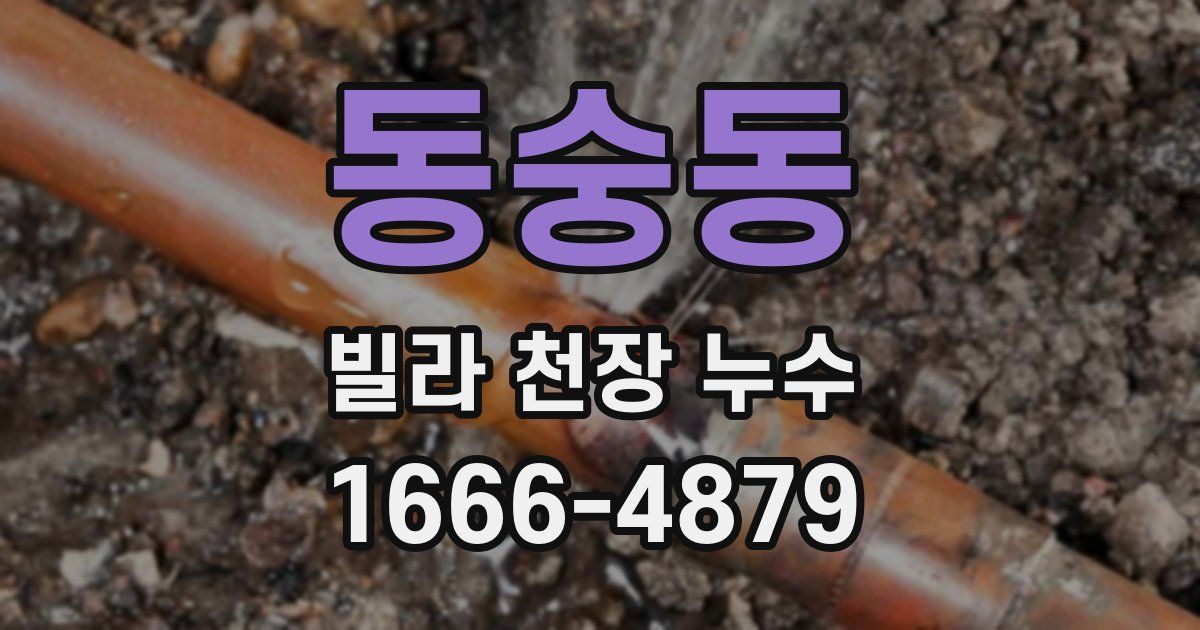 동숭동 빌라 천장 누수