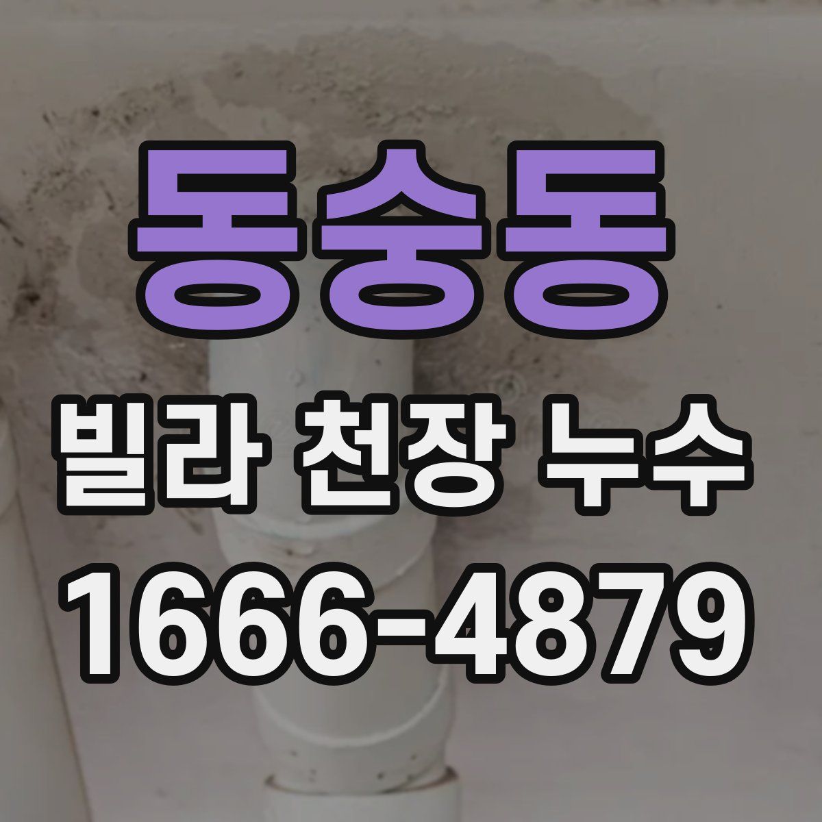 동숭동 빌라 천장 누수