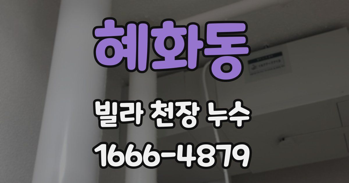 혜화동 빌라 천장 누수