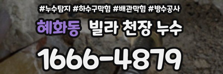 혜화동 빌라 천장 누수