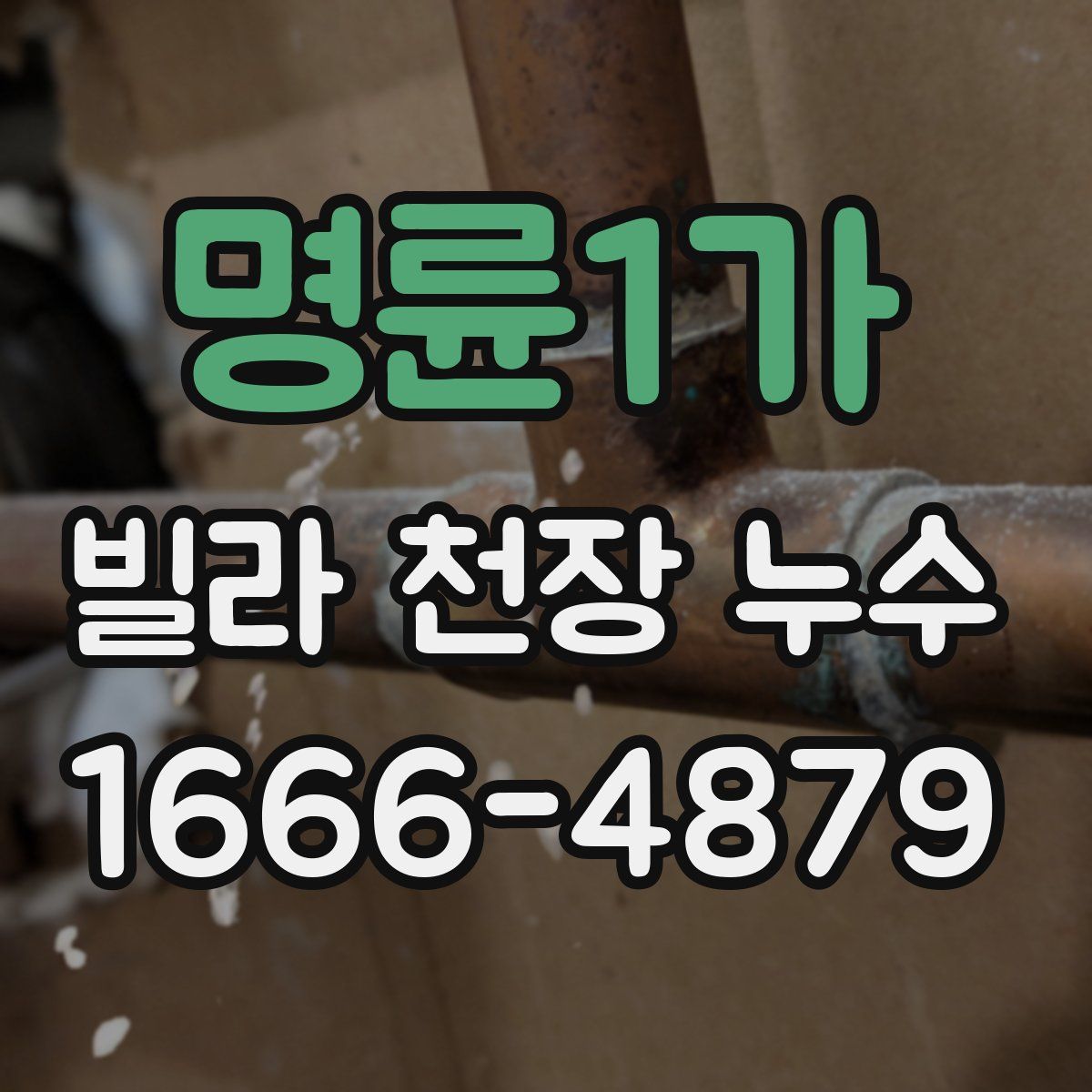 명륜1가 빌라 천장 누수