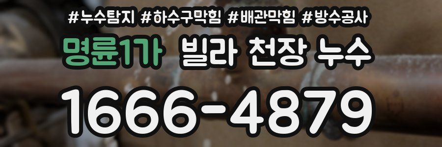 명륜1가 빌라 천장 누수