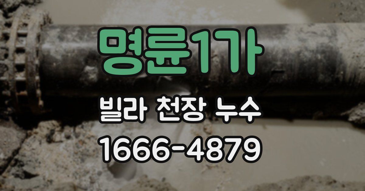 명륜1가 빌라 천장 누수