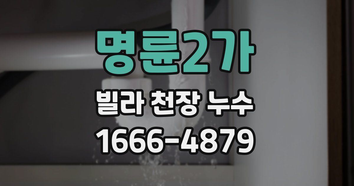 명륜2가 빌라 천장 누수