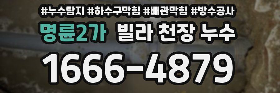명륜2가 빌라 천장 누수