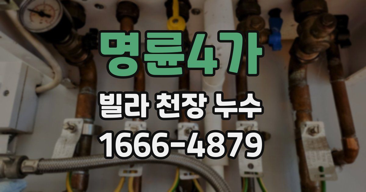 명륜4가 빌라 천장 누수