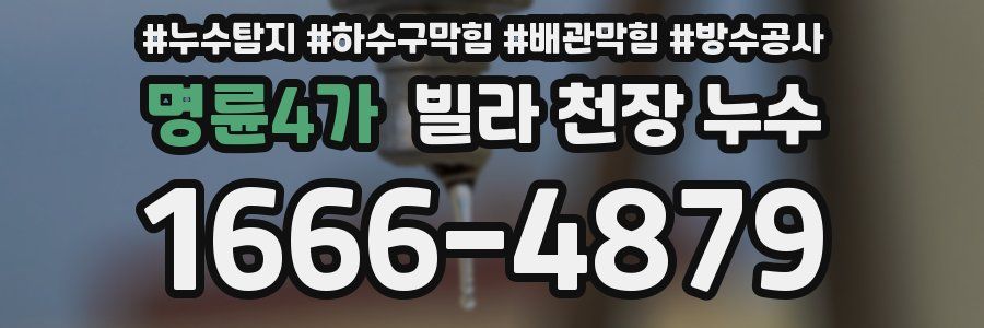 명륜4가 빌라 천장 누수