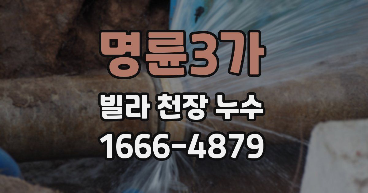 명륜3가 빌라 천장 누수