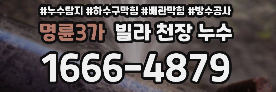 명륜3가 빌라 천장 누수
