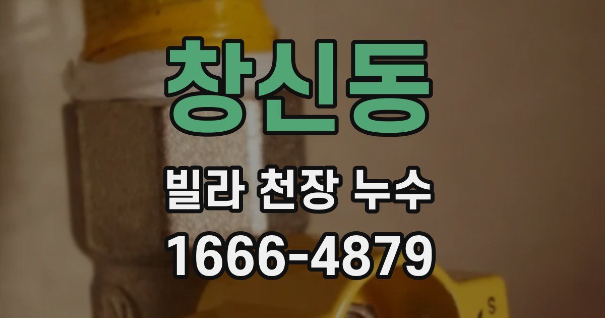 창신동 빌라 천장 누수