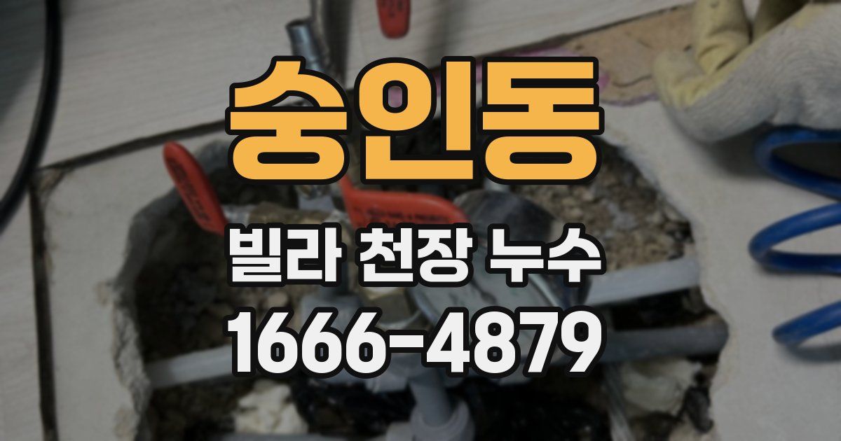 숭인동 빌라 천장 누수