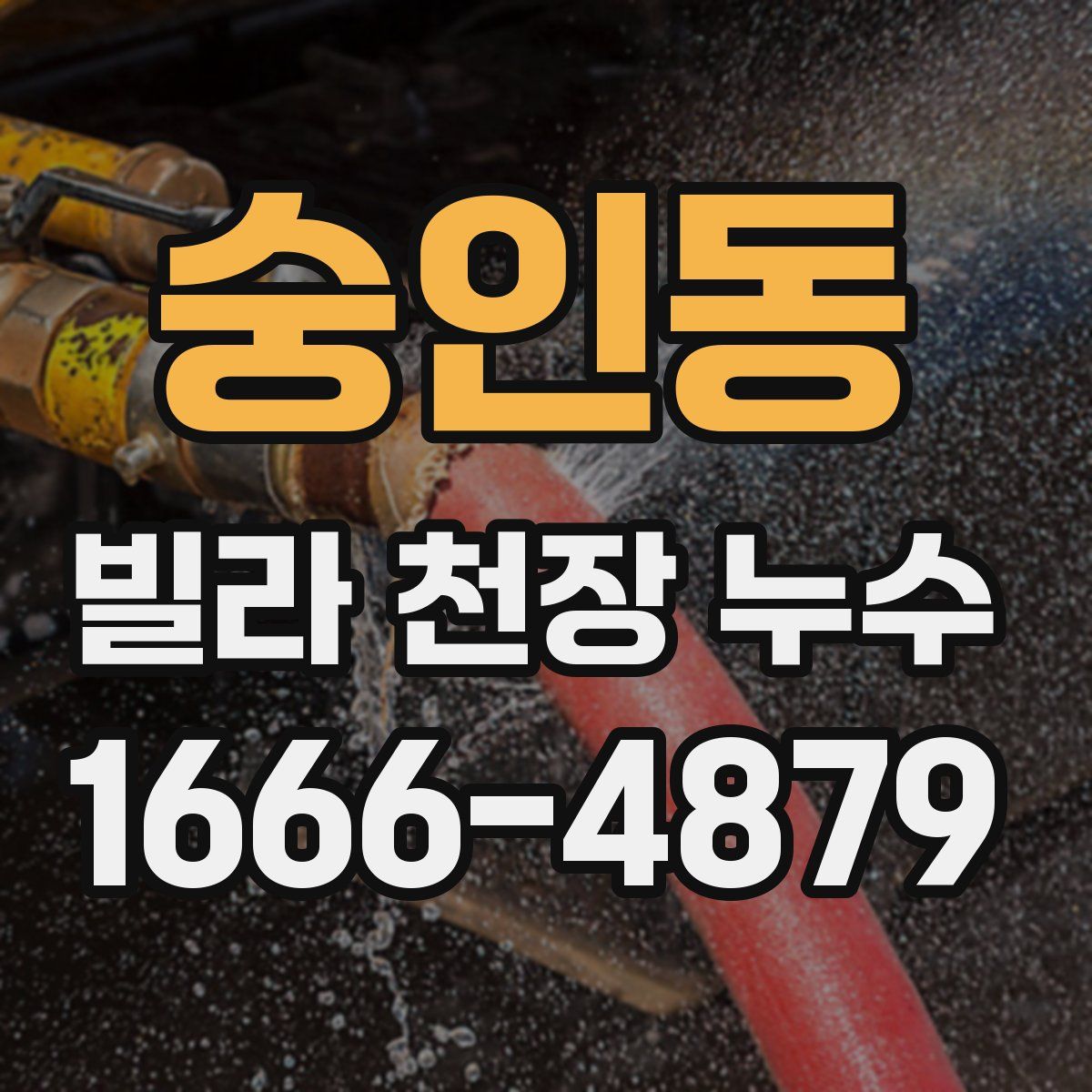 숭인동 빌라 천장 누수