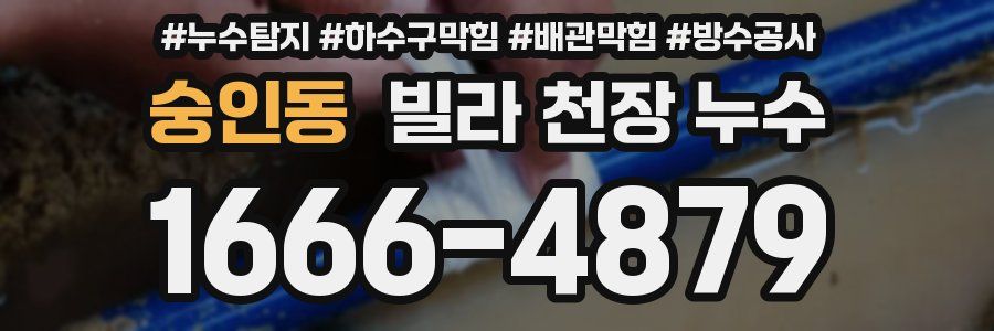 숭인동 빌라 천장 누수