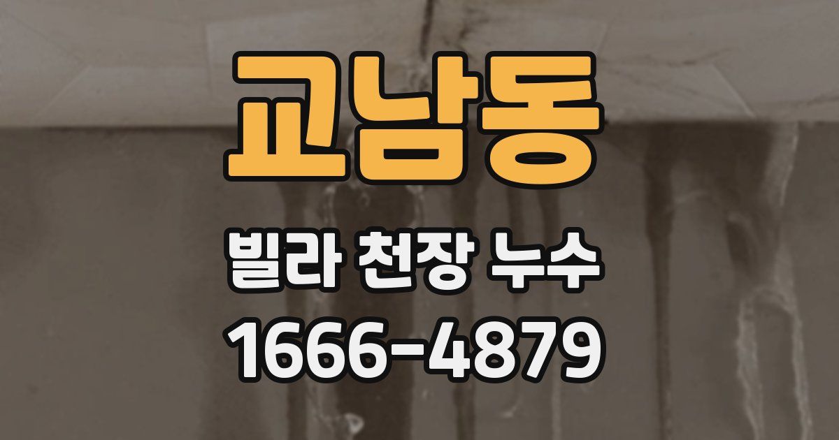 교남동 빌라 천장 누수
