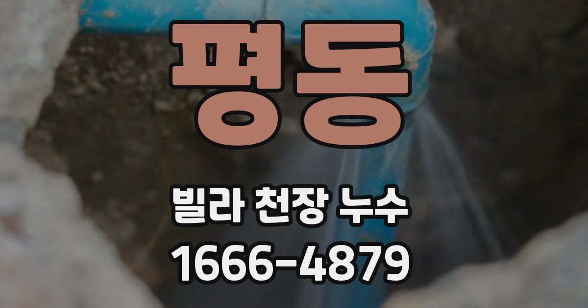 평동 빌라 천장 누수