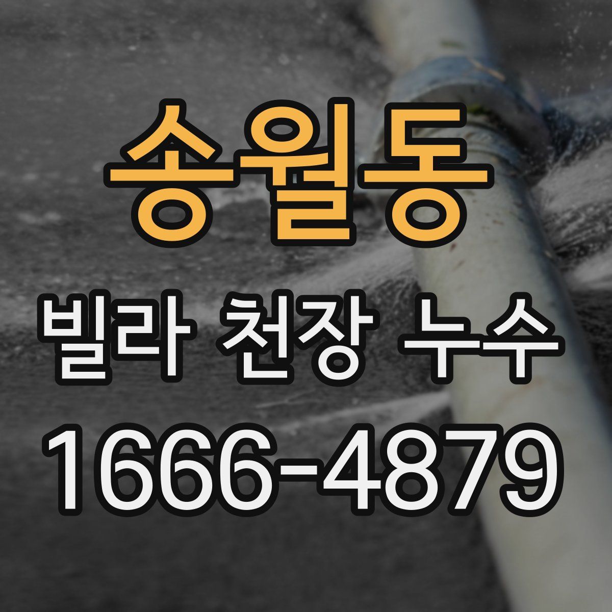 송월동 빌라 천장 누수