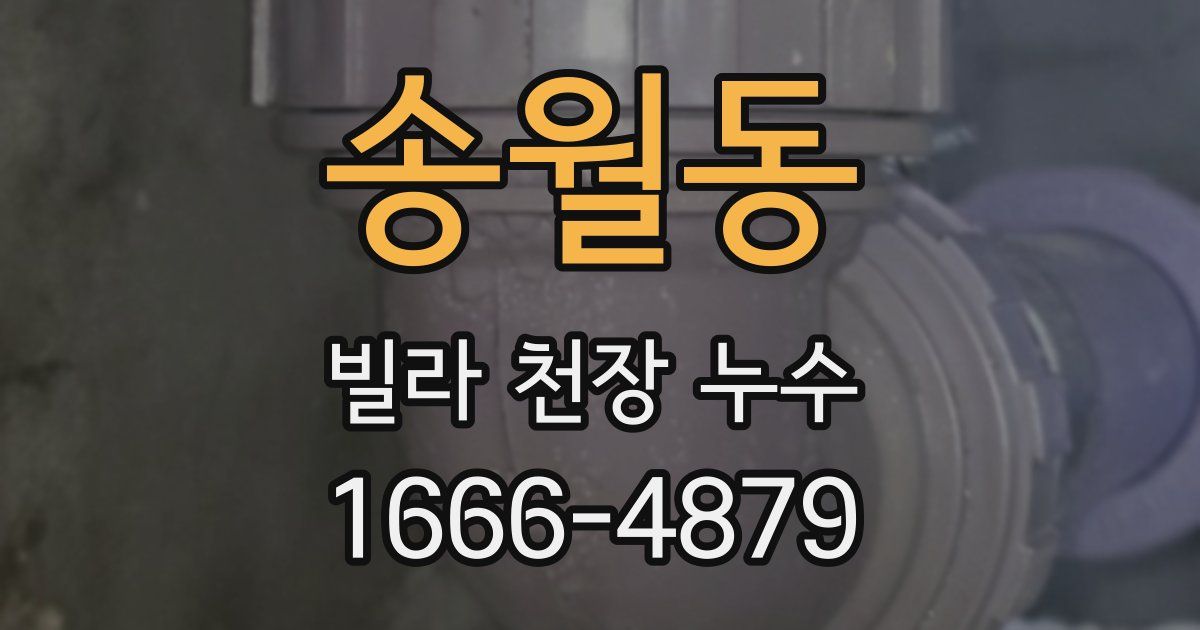 송월동 빌라 천장 누수