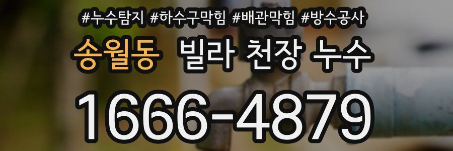 송월동 빌라 천장 누수