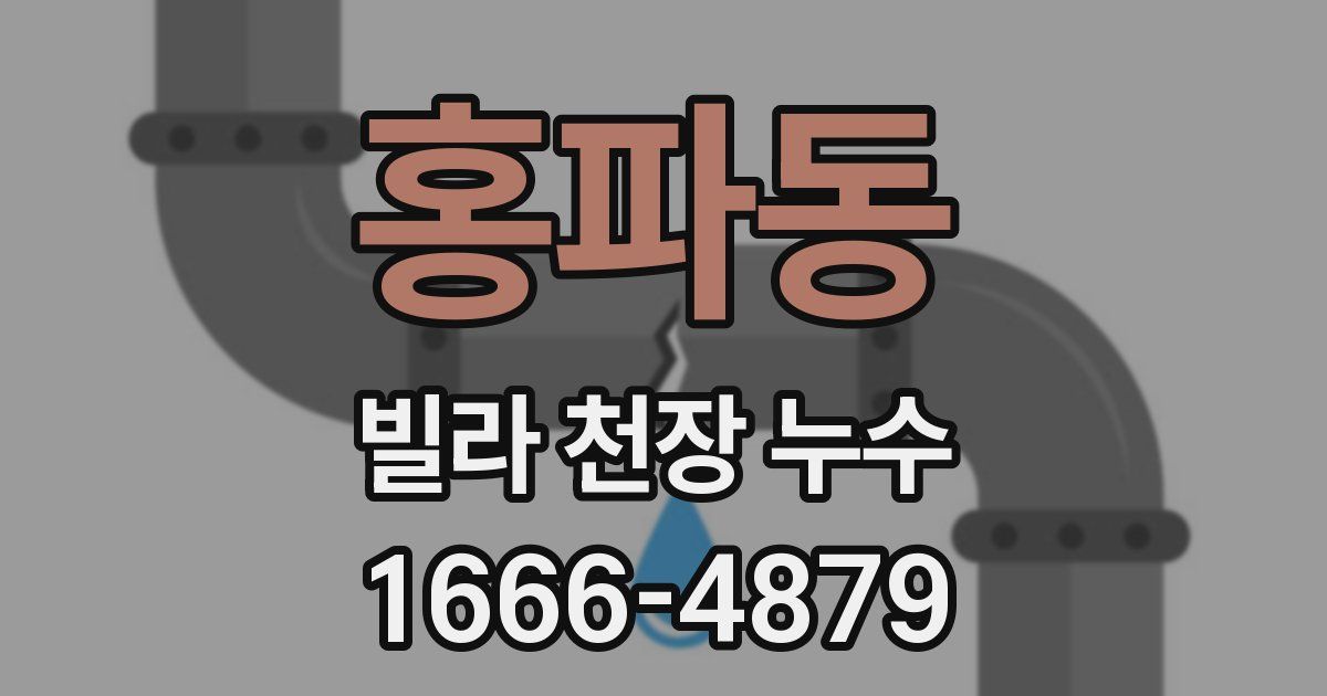 홍파동 빌라 천장 누수