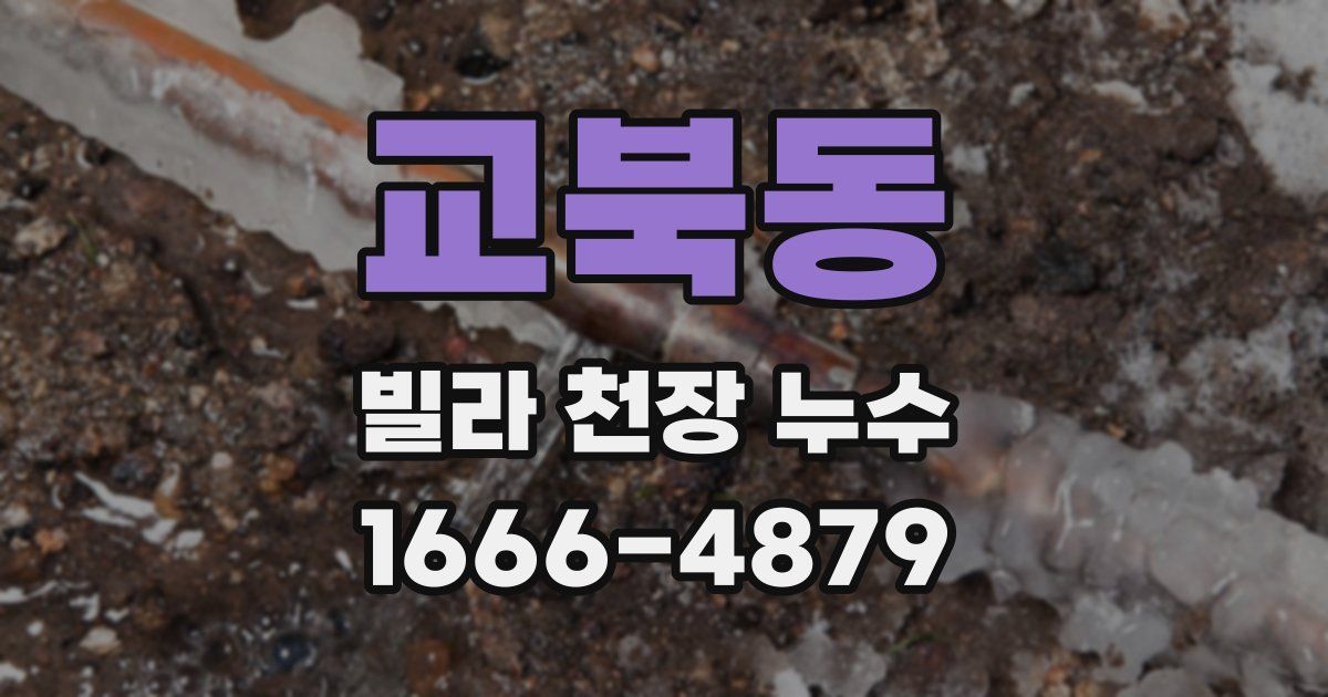 교북동 빌라 천장 누수