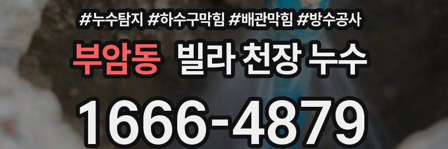 부암동 빌라 천장 누수