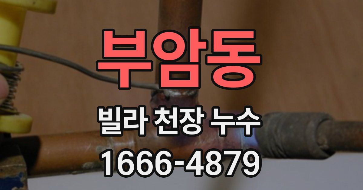 부암동 빌라 천장 누수