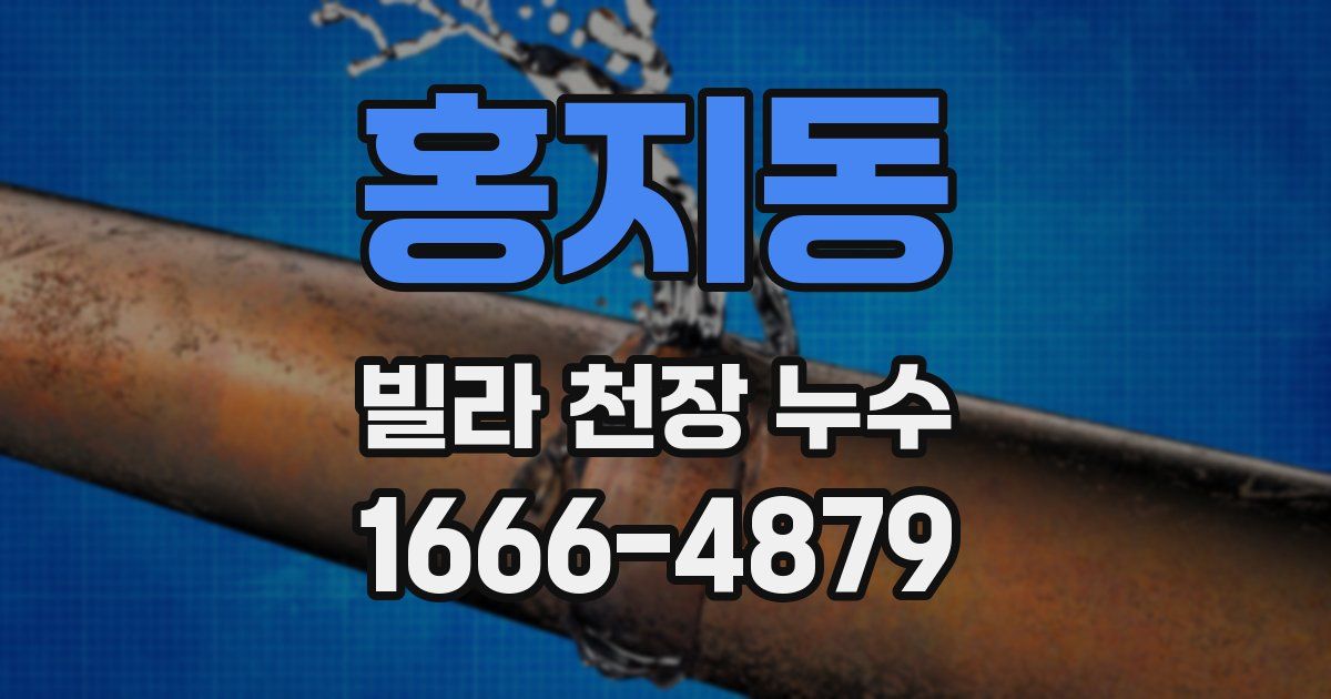 홍지동 빌라 천장 누수