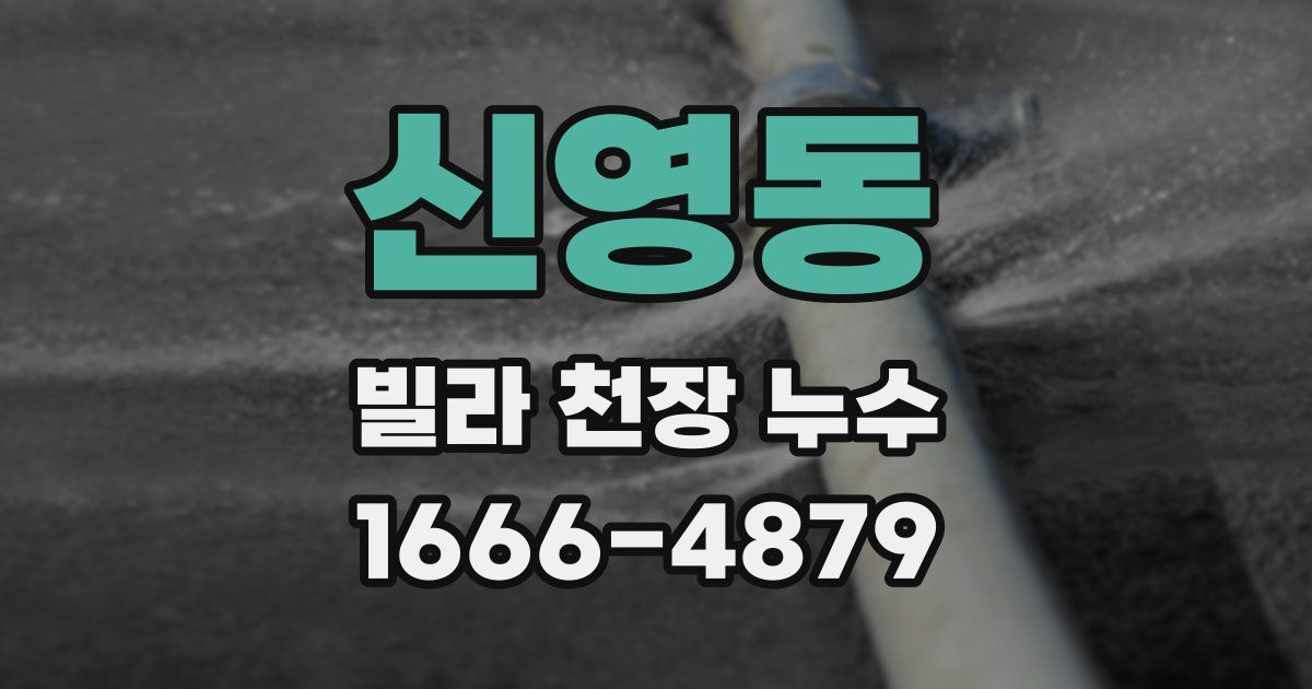 신영동 빌라 천장 누수