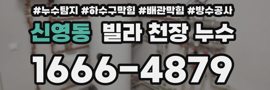 신영동 빌라 천장 누수