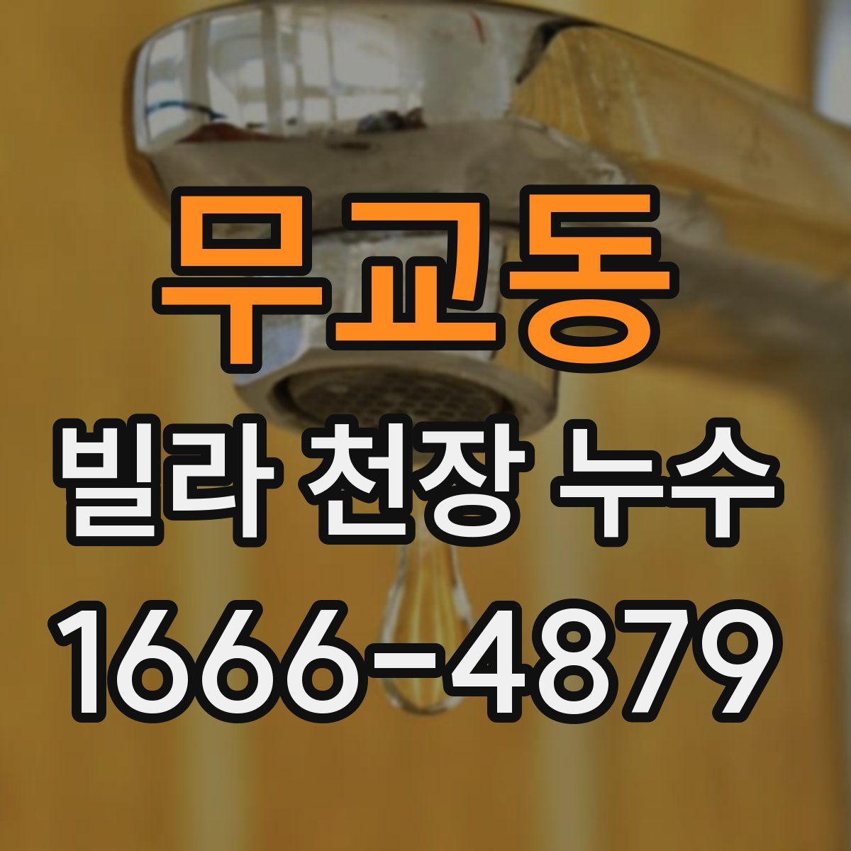 무교동 빌라 천장 누수