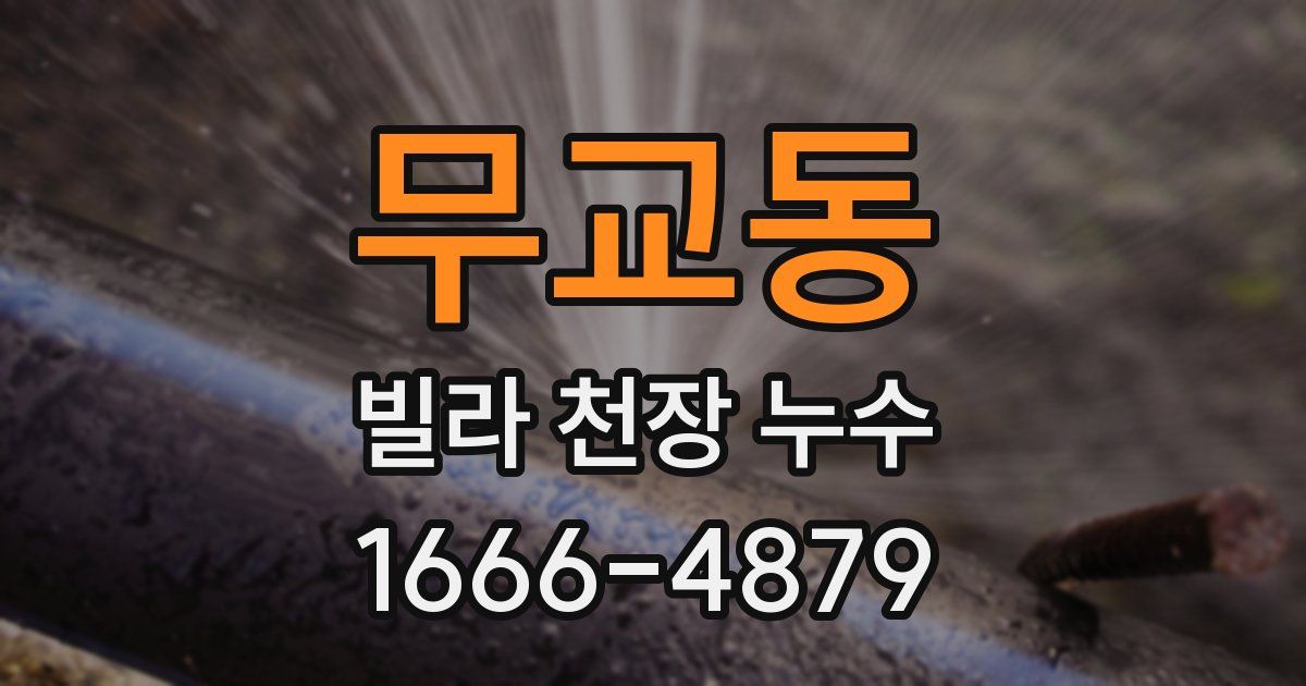 무교동 빌라 천장 누수